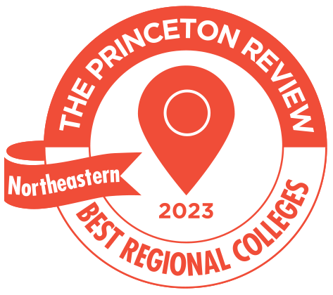 Princeton review award badge